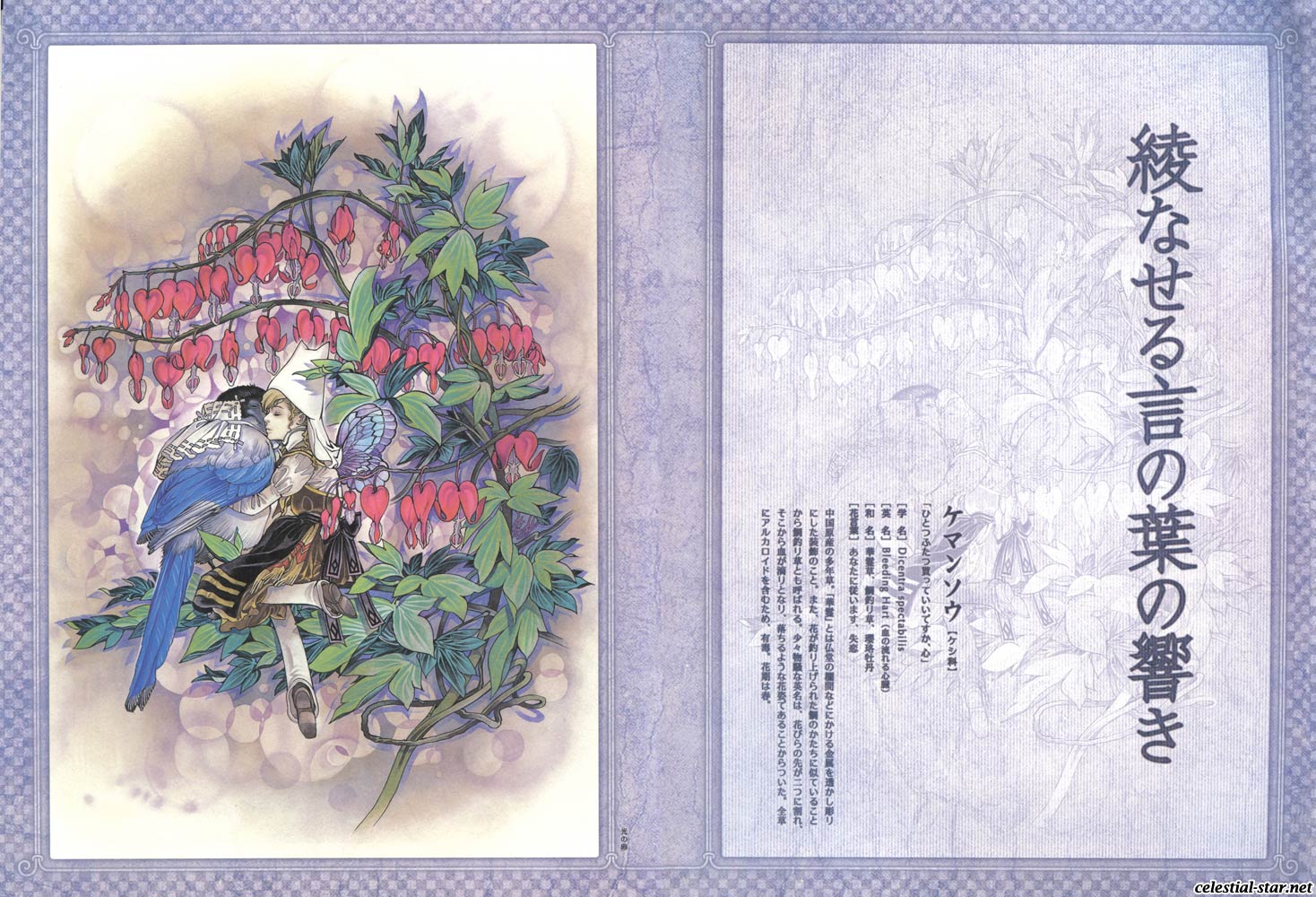 Kohjien image by Ayumi Kasai