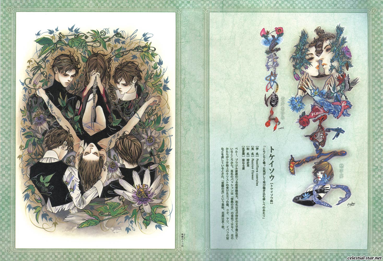 Kohjien image by Ayumi Kasai