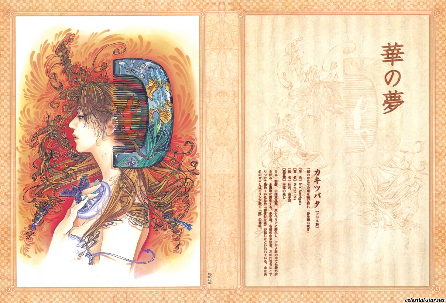 Kohjien image by Ayumi Kasai