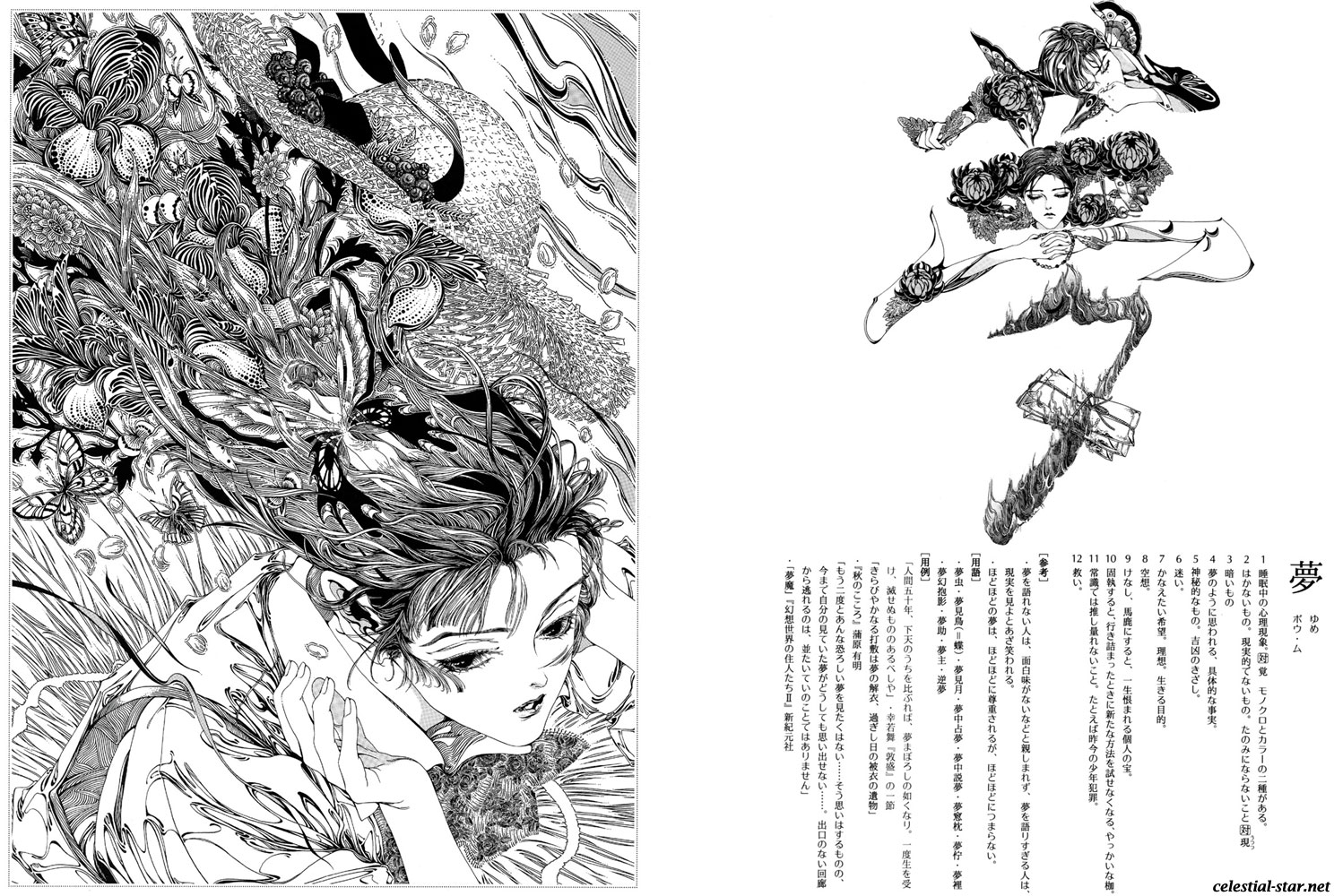 Kohjien image by Ayumi Kasai