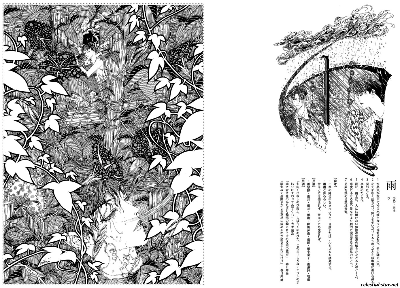 Kohjien image by Ayumi Kasai