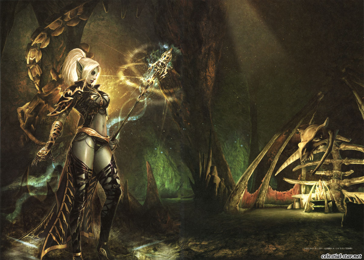 Lineage II The chaotic chronicle fan book image by NCsoft Corporation