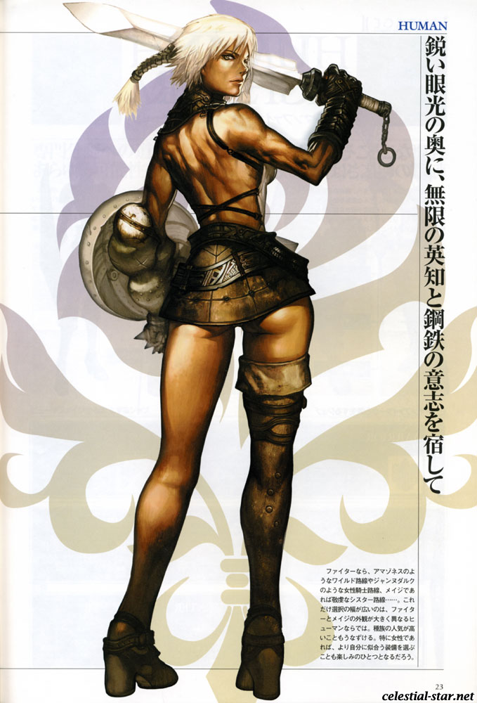 Lineage II The chaotic chronicle fan book image by NCsoft Corporation