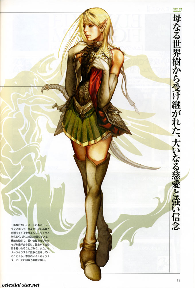 Lineage II The chaotic chronicle fan book image by NCsoft Corporation