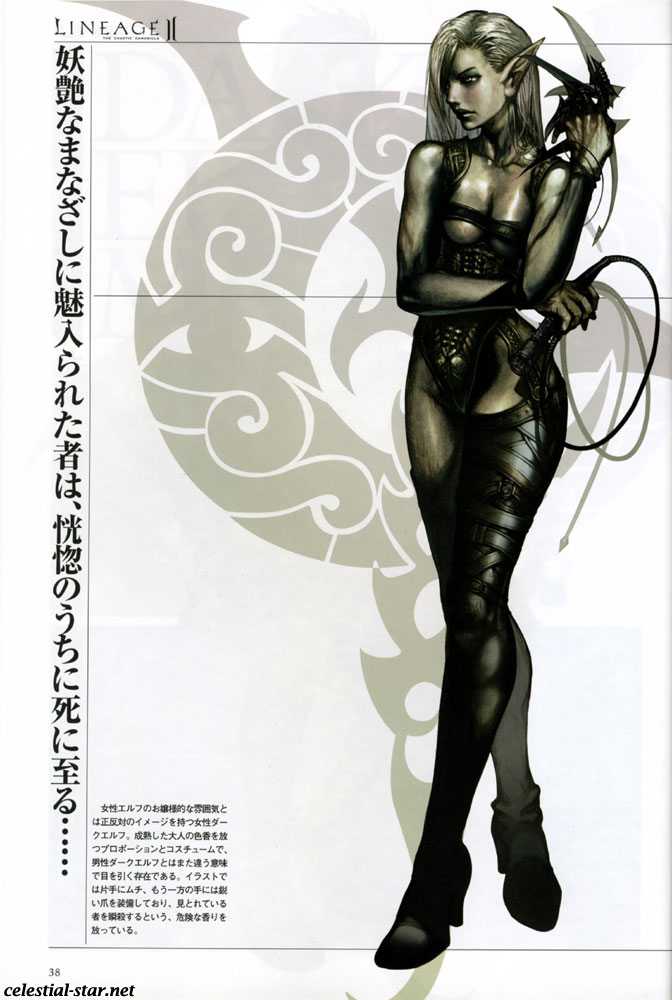 Lineage II The chaotic chronicle fan book image by NCsoft Corporation