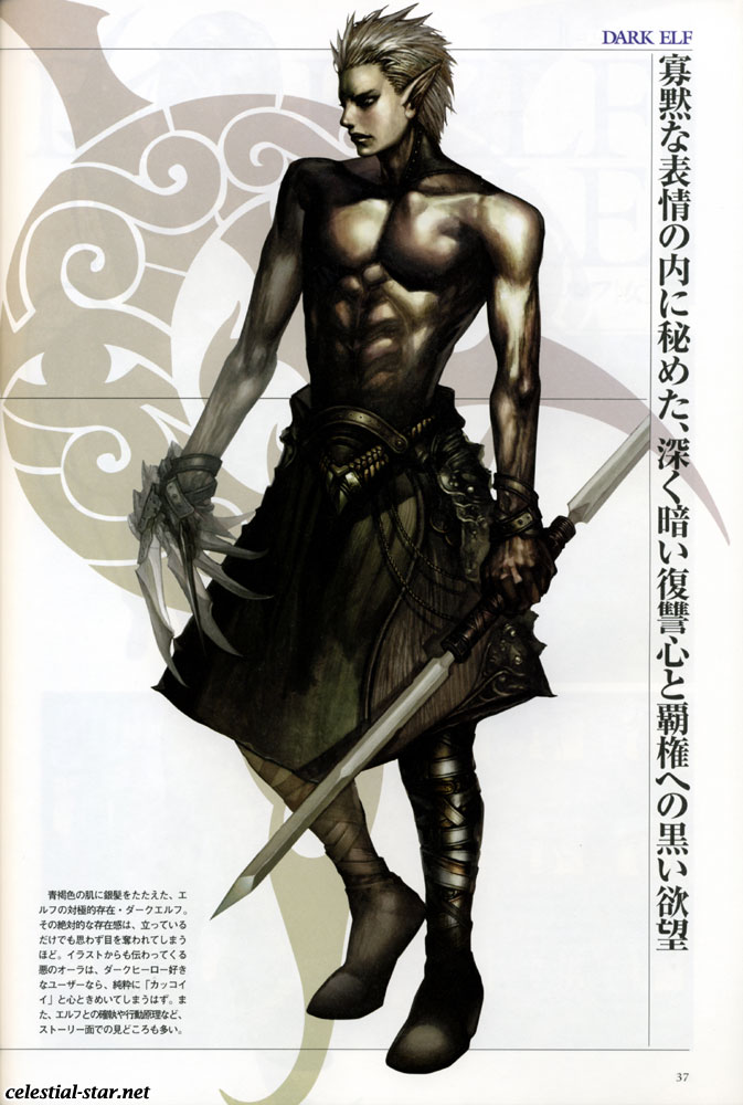 Lineage II The chaotic chronicle fan book image by NCsoft Corporation