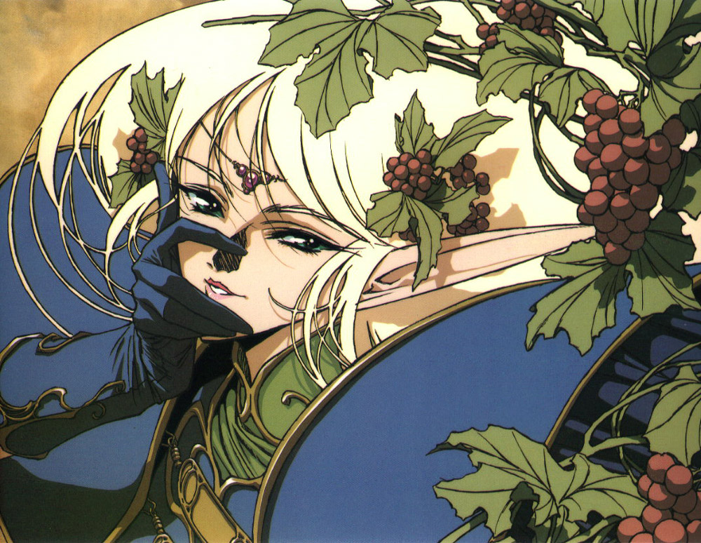 Record of Lodoss War image by Masato Natsumoto & Ryo Mizuno