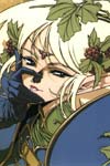 Record of Lodoss War image #4908