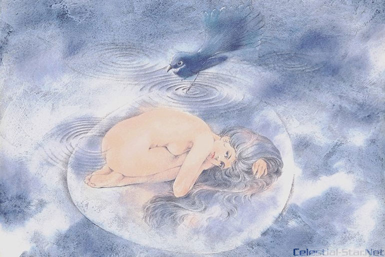 My Stella image by Akemi Takada