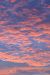 name image #4281