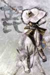 Sengoku Musou image #5443