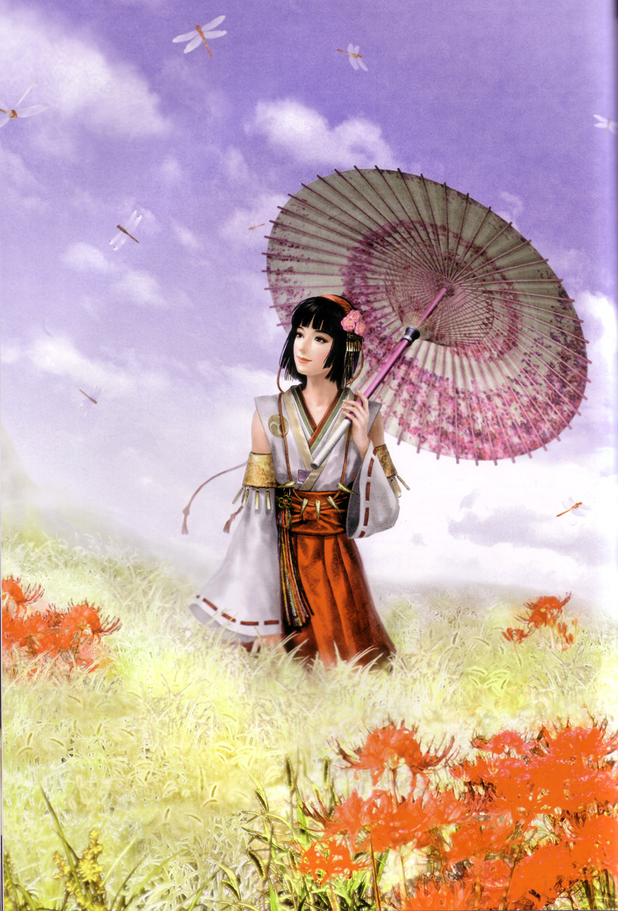 Sengoku Musou image by Koei